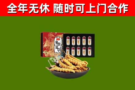 海口烟酒回收冬虫夏草礼盒.jpg
